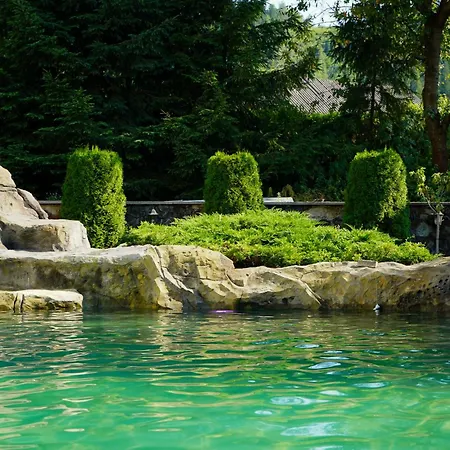 Gots - готельно-ресторанний комплекс Hotel Jaremtsche